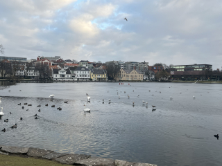 The Year Round Nigel Slater Discussion thread