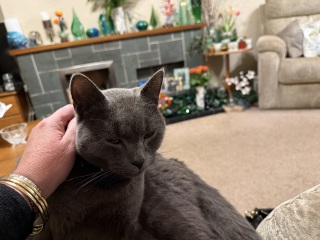 Lap dances, strippers and punch-ups - the Excellent Cats arrange a stag party