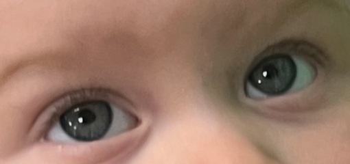 What colour eyes?