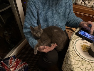 Lap dances, strippers and punch-ups - the Excellent Cats arrange a stag party