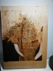 Anyway want a joyful sharing of some art?