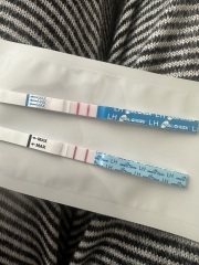 Is it normal to have high ovulation tests for over 24 hours during fertile window?