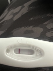Evap/Indent line?
