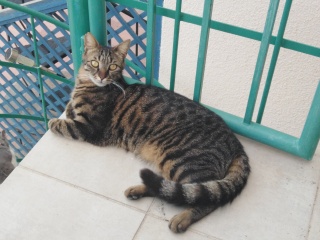My poor boy died suddenly last night