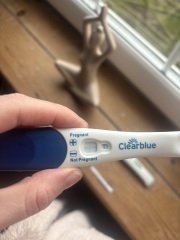 Clear blue rapid 1 minute