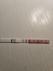 TTC #1 no previous pregnancies cycle #6 - looking for others in the same boat!