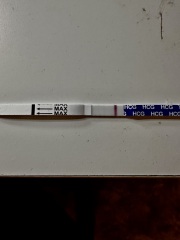 Pregnancy test