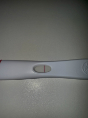 February 2025 TTC Support Group Part 2!