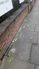 So much dog poo - what can be done?