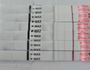 February/March FET