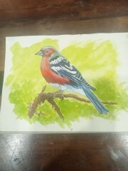 The Year Round Nigel Slater Discussion thread