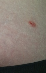 I will get it checked, but any ideas?