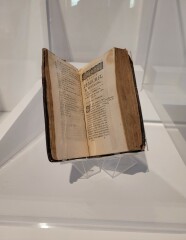 Bienvenue à Marseille | 2025 The Count of Monte Christo, read-a-long