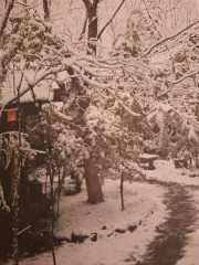 The Nigel Slater Christmas Chronicles Readalong 2024 Part 3