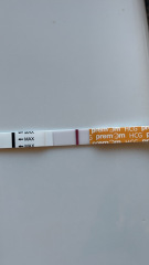 10dpo does anybody see it? X