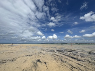 The Year Round Nigel Slater Discussion thread