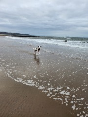 Mounjuro August starters - thread 11