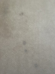 Mysterious marks on carpet?