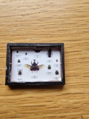 The Bluestocking. All gerbils welcome, must have own frou-frou skirt.