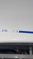 Can anyone see anything