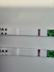 Why I keep having faints pregnancy tests and negatives!