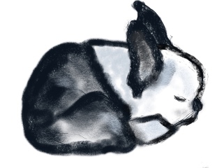 Anyway want a joyful sharing of some art?