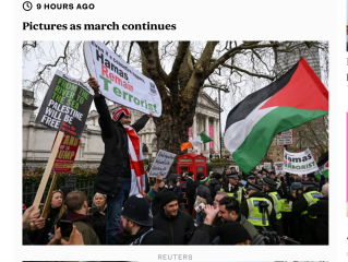 Do people fully support Palestine?