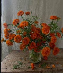 Pls hep me pick my wedding flowers?