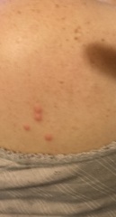 When is this (pic included)