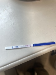 Feel like I’m losing the plot