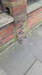 So much dog poo - what can be done?