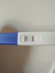 CB rapid evap at 15 minute mark?