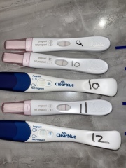 12 days POV post chemical pregnancy, anyone want to help eachother stay sane?