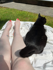 Anyone else's cat not like going outside?