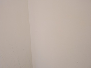 Paint for uneven walls