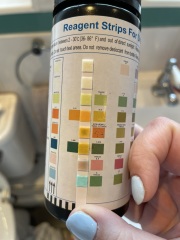 Urine dip sticks *pics included*