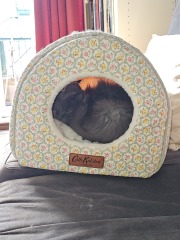 Lap dances, strippers and punch-ups - the Excellent Cats arrange a stag party