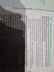 Changing name on driving license