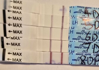 February/March FET