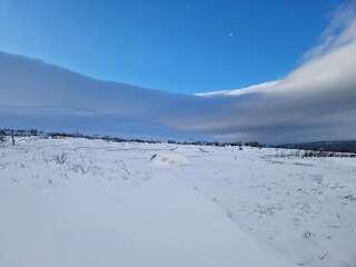 The Year Round Nigel Slater Discussion thread