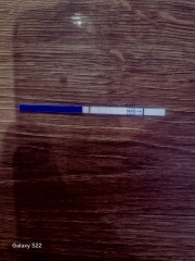 Clear blue test. Evap line or positive