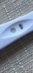 Am I pregnant ?