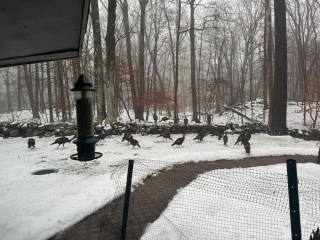 Come and tell us your dull and unexciting news 32: Calmly through the day