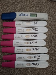 FRER lines progressing nicely but lighter today?