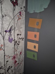 Which paint? Help!