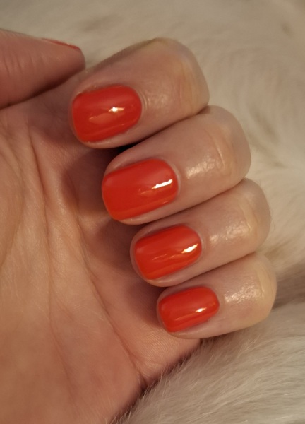 Opinions on this gel nail colour?