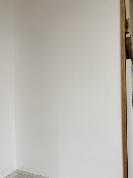 Daily Project round 7