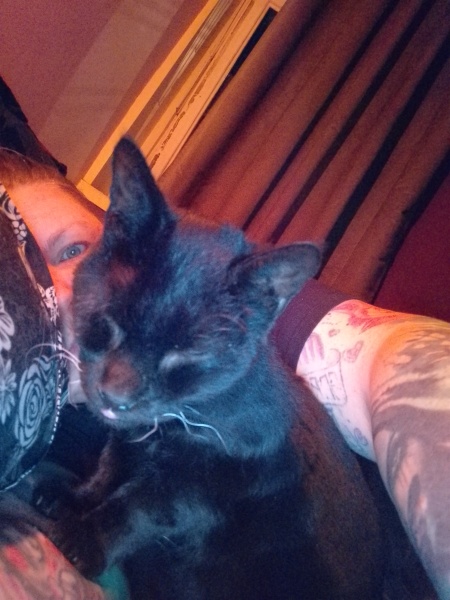 Lap dances, strippers and punch-ups - the Excellent Cats arrange a stag party