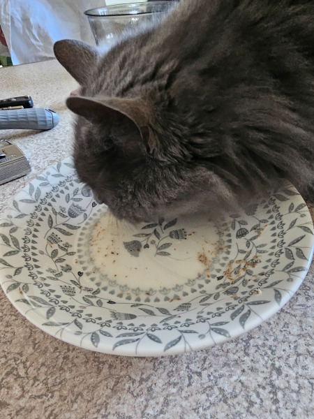 Lap dances, strippers and punch-ups - the Excellent Cats arrange a stag party