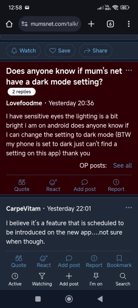 Does anyone know if mum's net have a dark mode setting?